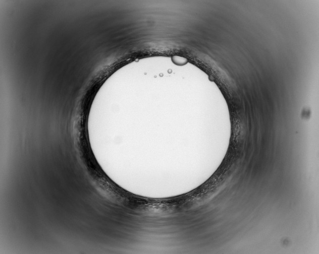 X0000103420736200810241033