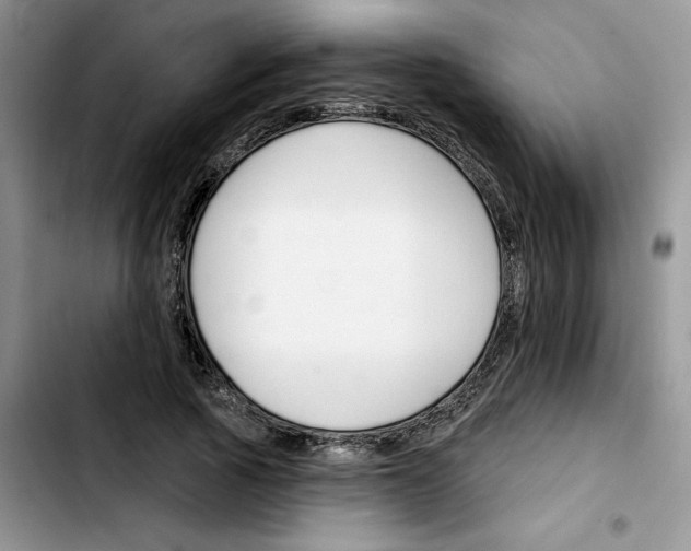 X0000103420737200810241033