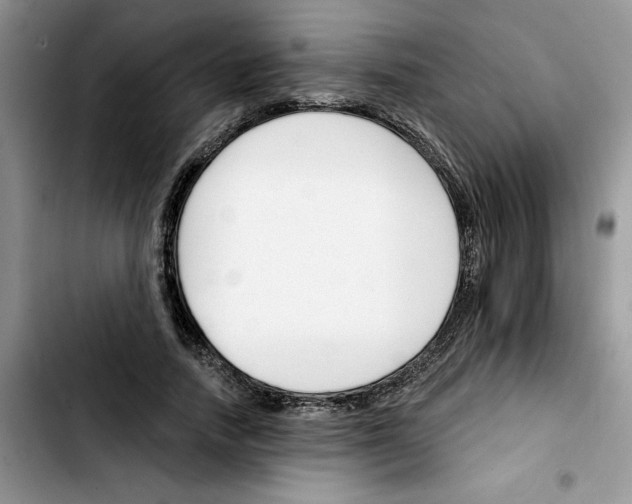 X0000103420738200810241033