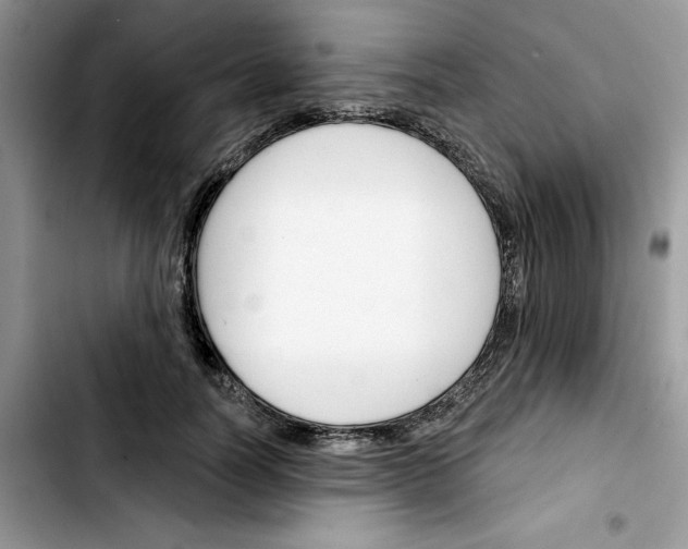 X0000103420746200810241034