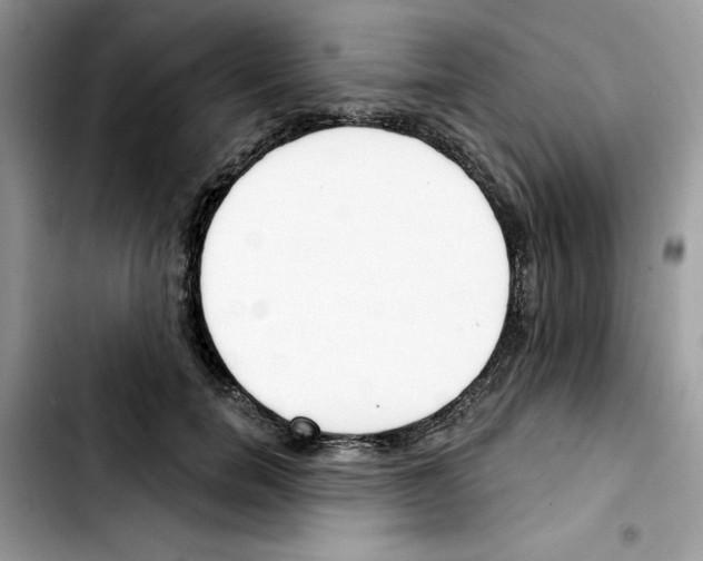X0000103420750200810241034