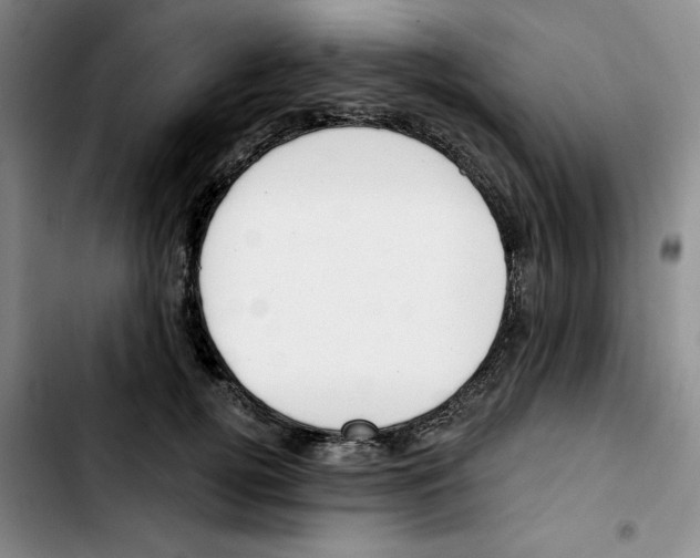 X0000103420752200810241034