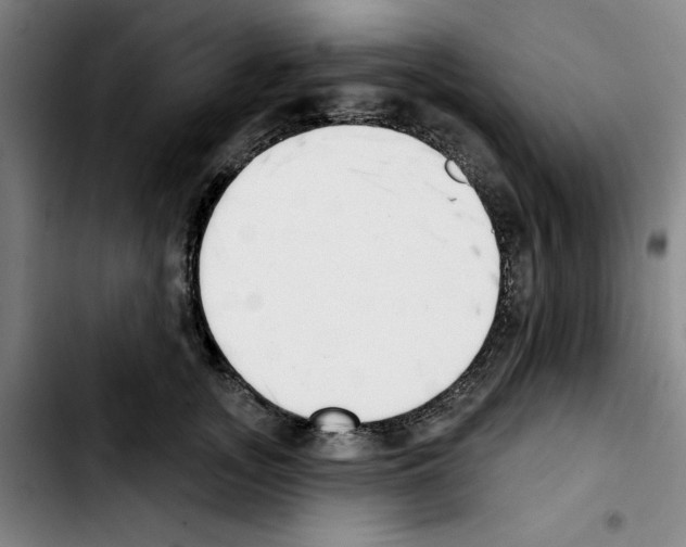 X0000103420755200810241034