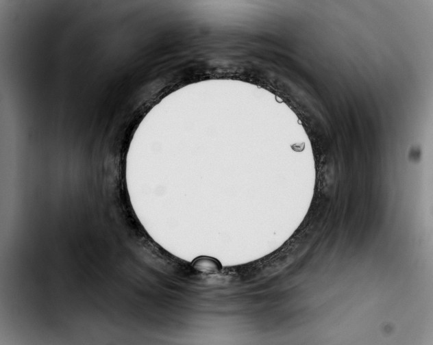 X0000103420756200810241034