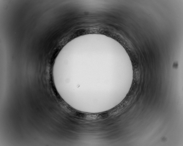 X0000103420757200810241034