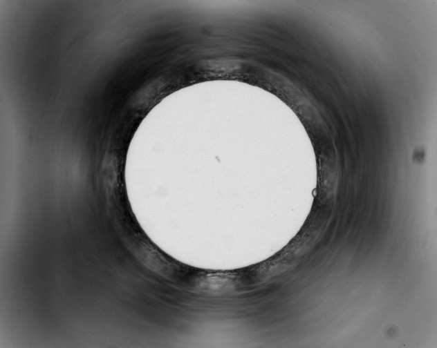 X0000103420758200810241034