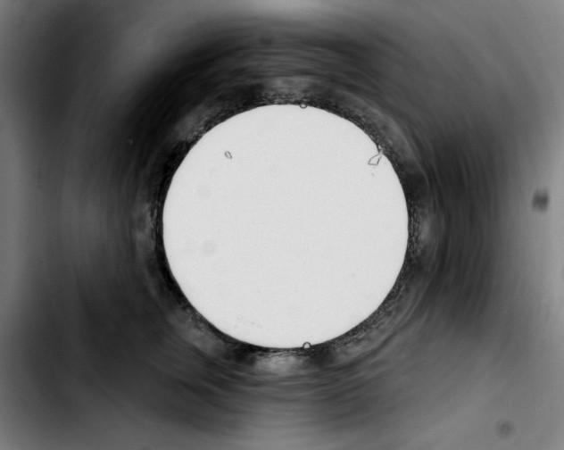 X0000103420759200810241034