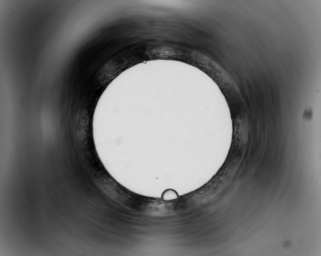 X0000103420760200810241034