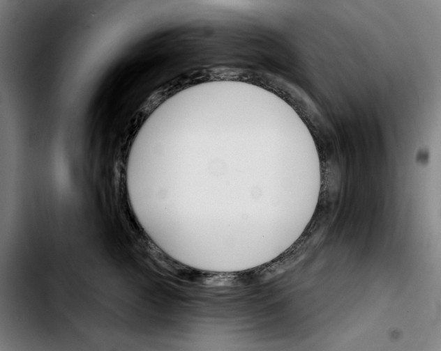 X0000103420761200810241034