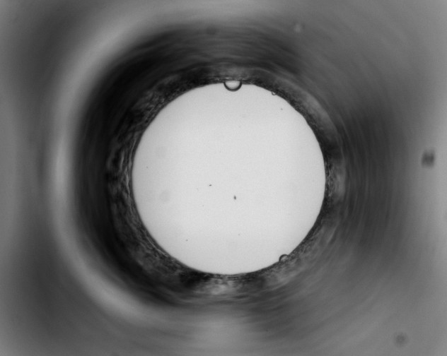 X0000103420764200810241034