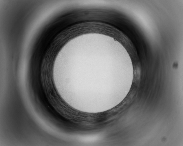 X0000103420765200810241034