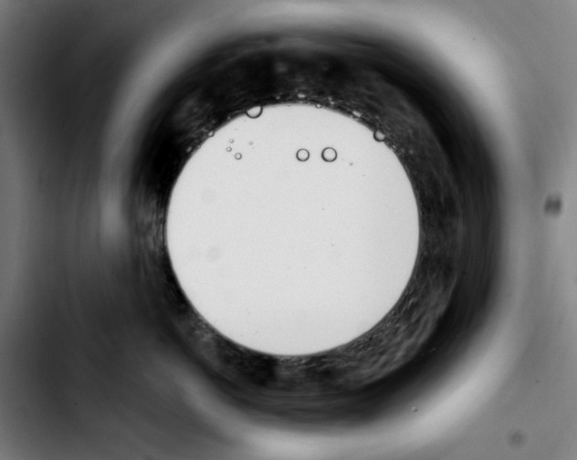X0000103420766200810241034