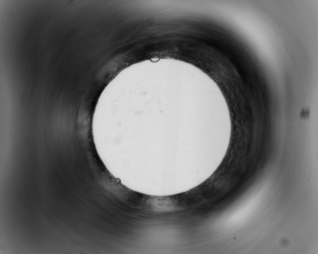 X0000103420767200810241034