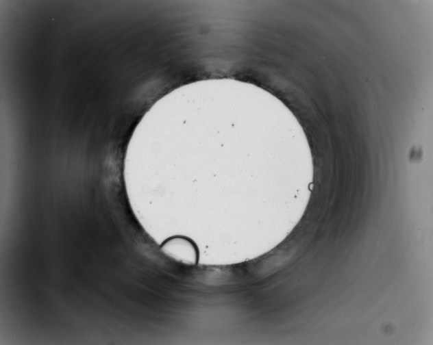 X0000103420768200810241034