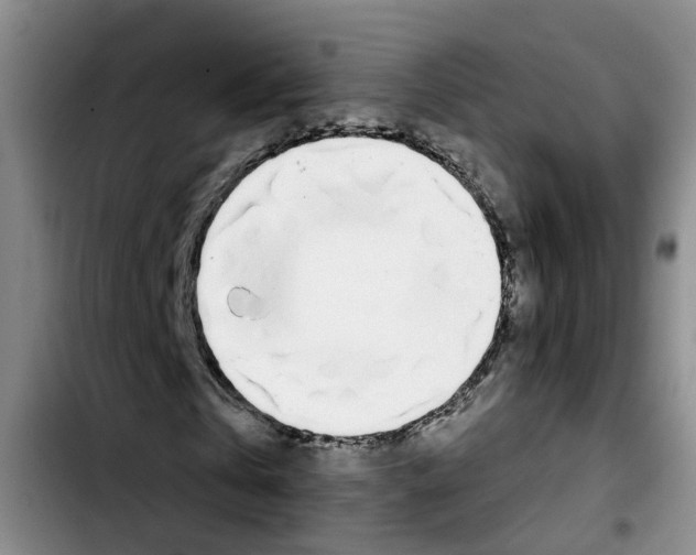 X0000103420769200810241033