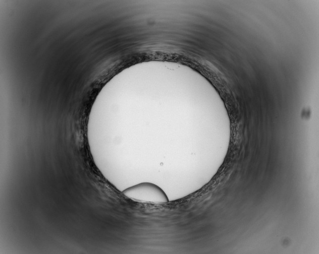 X0000103420774200810241033