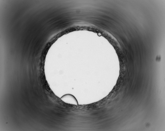 X0000103420775200810241033