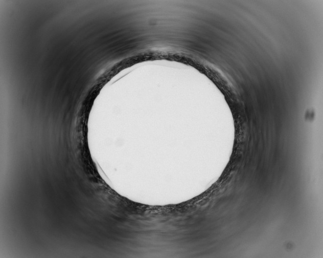 X0000103420776200810241033