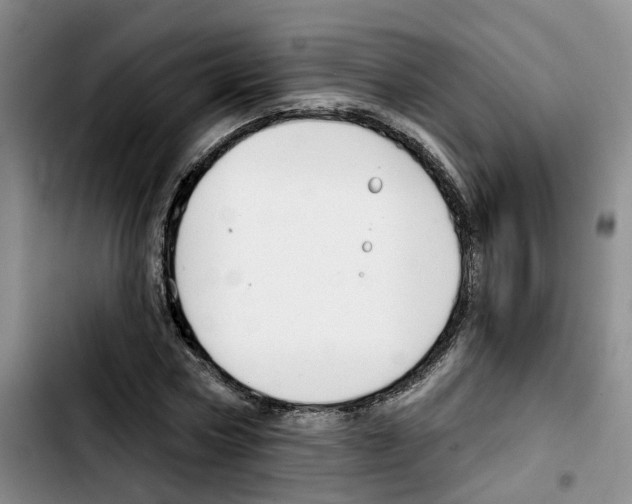 X0000103420778200810241033