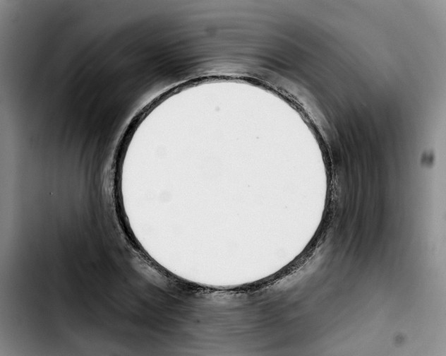 X0000103420779200810241033