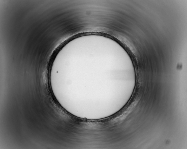 X0000103420781200810241033