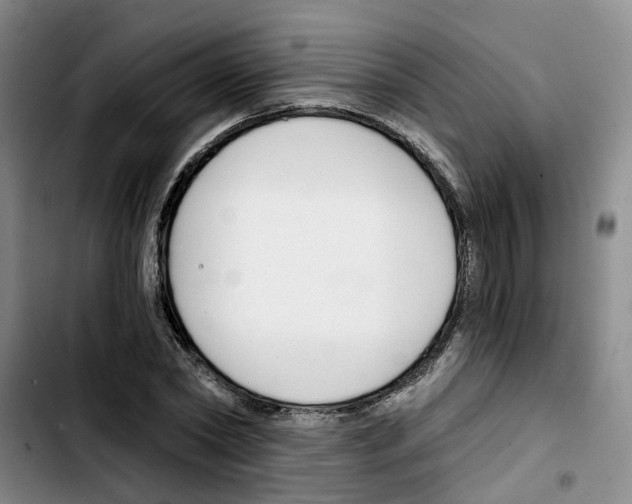 X0000103420782200810241033
