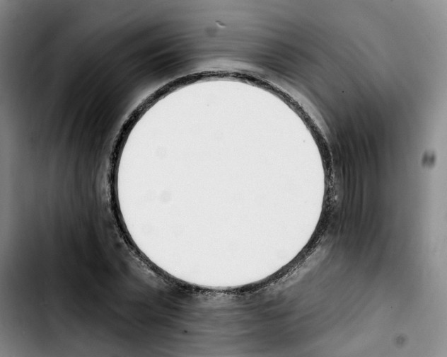 X0000103420783200810241033
