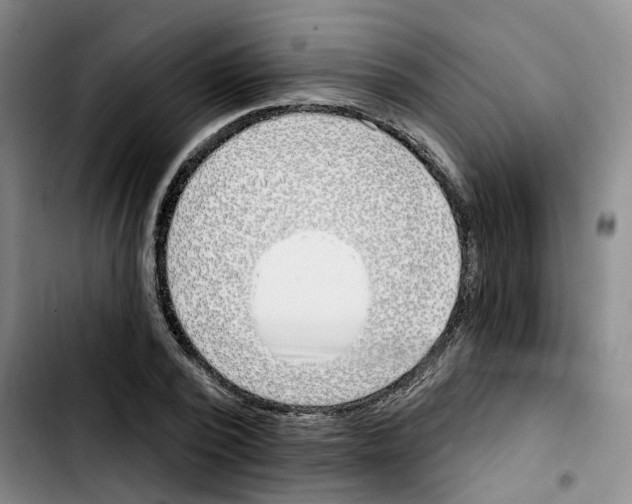 X0000103420784200810241033