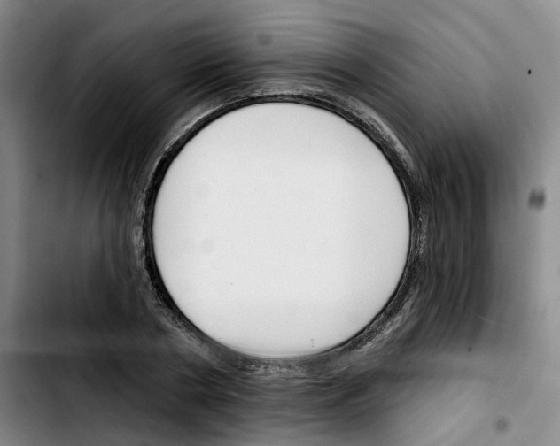 X0000103420786200810241033