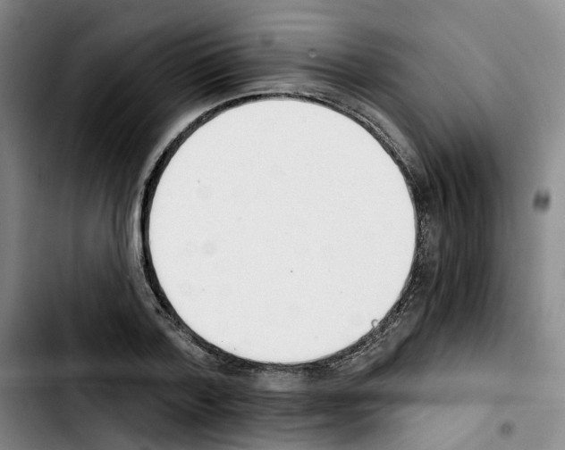 X0000103420788200810241033
