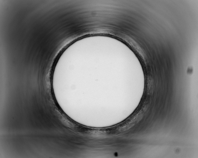 X0000103420789200810241033