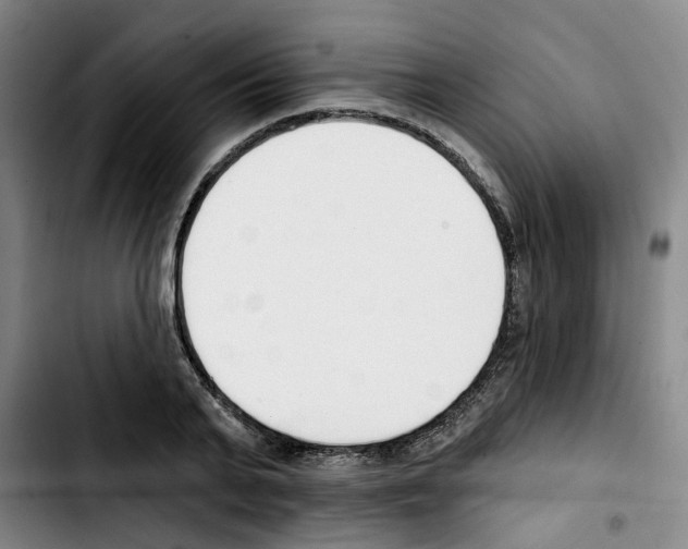 X0000103420791200810241033