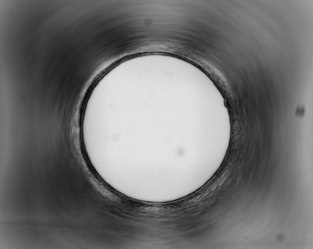 X0000103420792200810241033