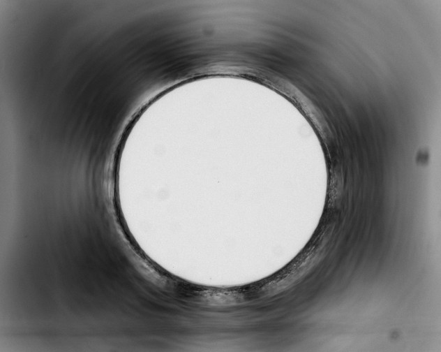 X0000103420795200810241033