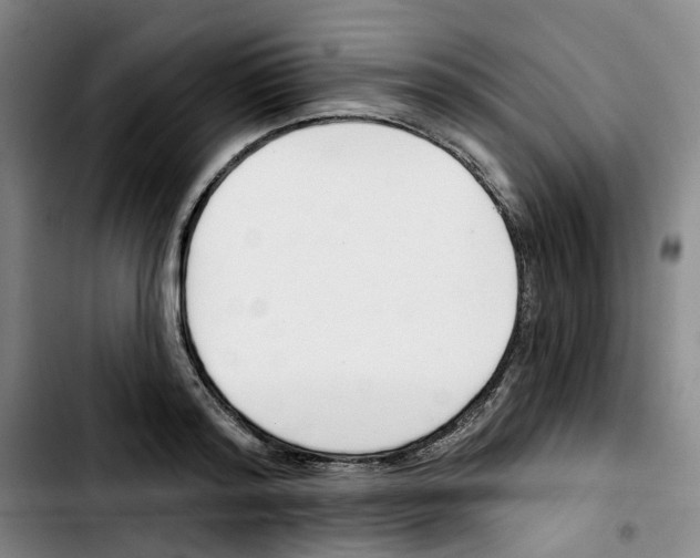 X0000103420796200810241033