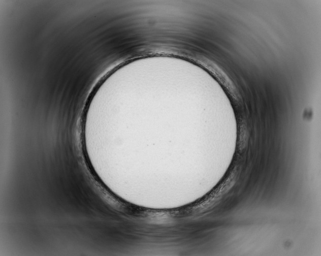 X0000103420798200810241033