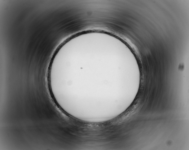 X0000103420799200810241033