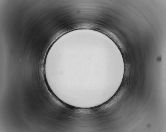 X0000103420802200810241033