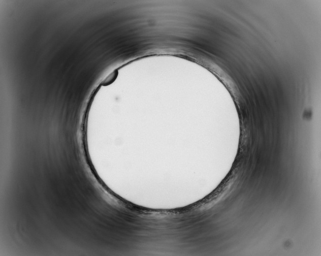 X0000103420803200810241033