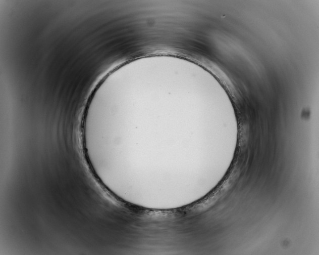 X0000103420806200810241033