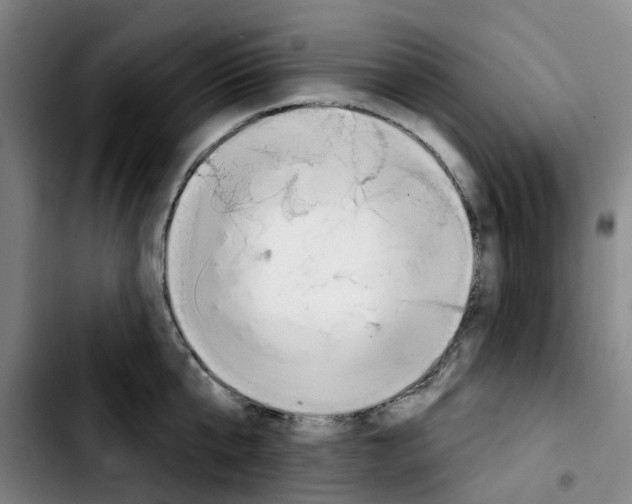 X0000103420807200810241033
