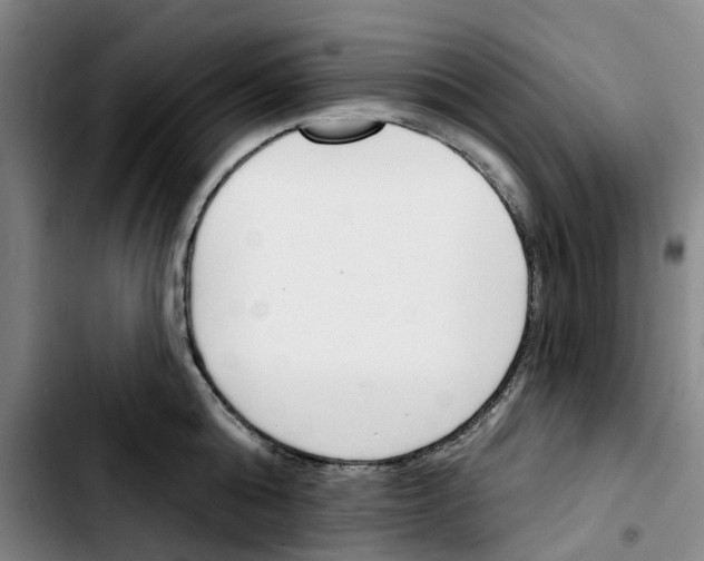 X0000103420808200810241033