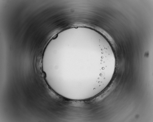 X0000103420809200810241033