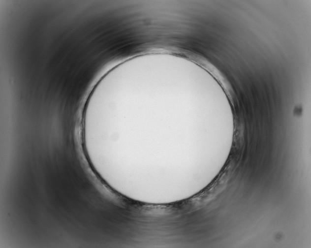 X0000103420811200810241033