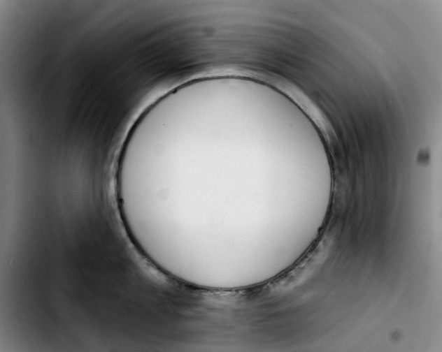 X0000103420813200810241033