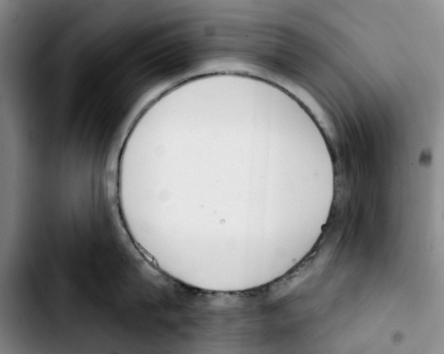 X0000103420815200810241033