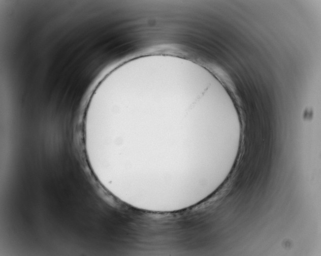 X0000103420816200810241033