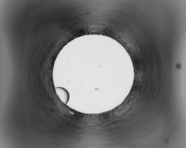 X0000103420817200810241032