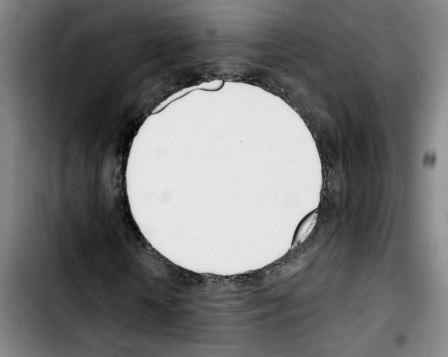 X0000103420818200810241032