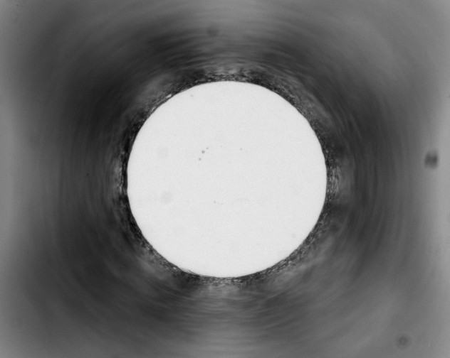 X0000103420820200810241032